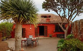 Casa Begonia